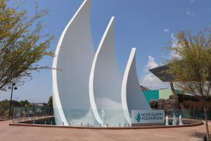 Gulfport’s Mississippi Aquarium is a can’t-miss attraction for family members of all ages.   