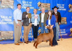 2023 Dixie National Sale of Junior Champions Res Champion Mediumweight Goat. Exhibited by Hannah Katherine Jones, Madison 4-H. 