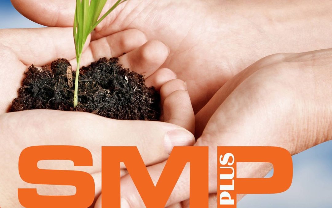 Sales & Marketing Professionals