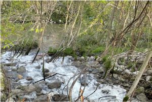 A broken water line at the old Colonial Country Club in Jackson gushing an estimated 5 million gallons of drinking water a day into Purple Creek. (Photo credit: Sarah Fowler/The New York Times) Credit: Credit...Sarah Fowler/The New York Times
