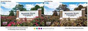 Color blind and normal vision comparison