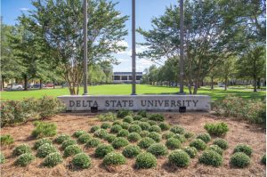 Delta State University sign