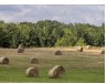 Two years after funds were obligated to bring high-speed internet to more than 4,000 homes in rural northeast Madison County, zero have been served