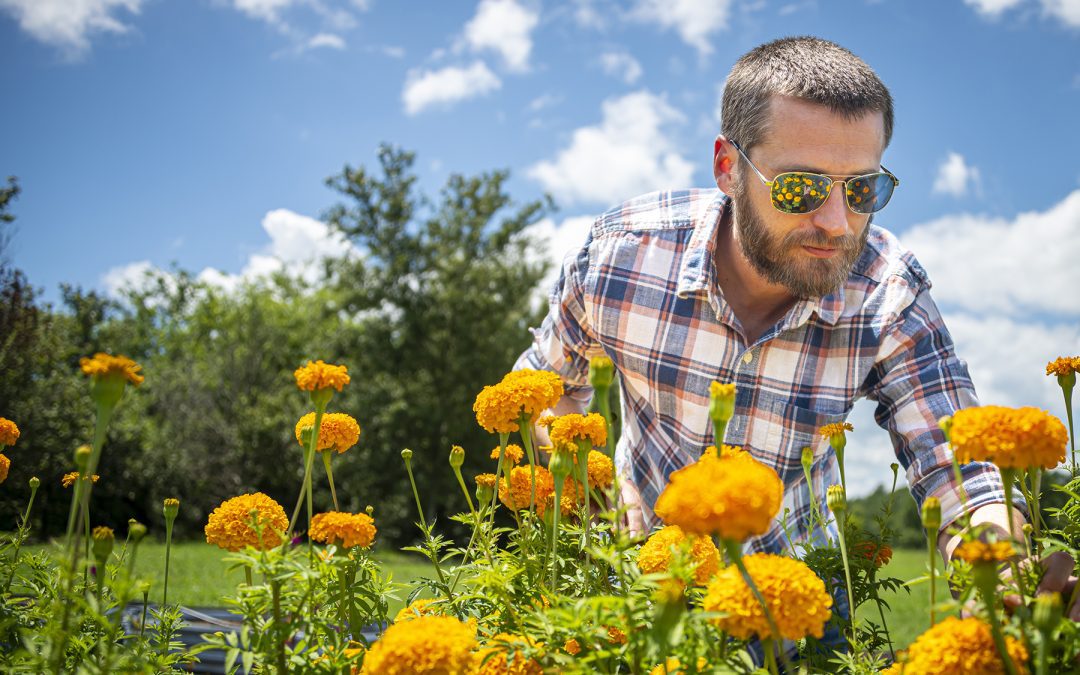 Horticulture learning garden in full bloom at MSU, helping students gain marketable skills