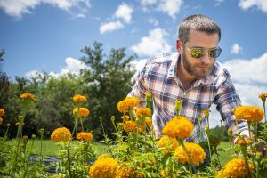 Cole Etheredge, associate professor of floriculture and ornamental horticulture in MSU's Department of Plant and Soil Sciences, works at the cut flower garden at the R.R. Foil Plant Science Research Center, or North Farm. (Photo by David Ammon)