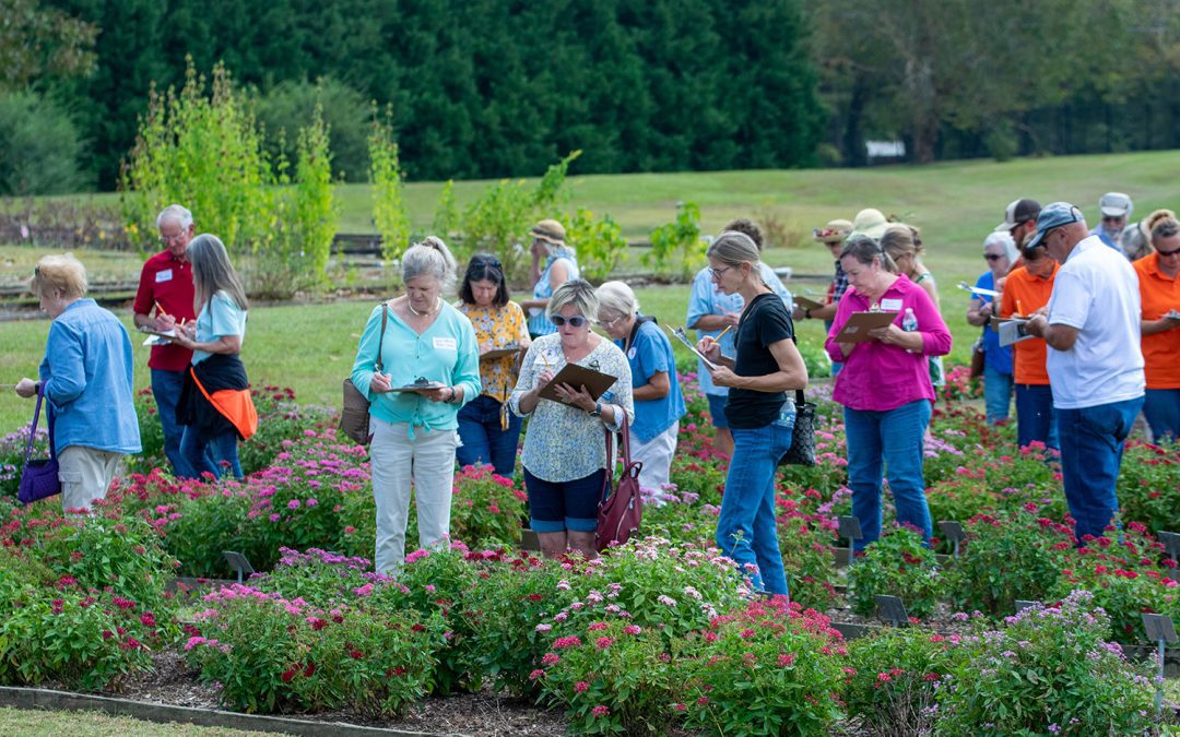 MAFES ornamental horticulture field day celebrates 50 years