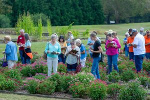 Participants at last year's horticulture field day view plants at MSU's South Mississippi Branch Experiment Station in Poplarville. (Photo by Jenny Ryals)