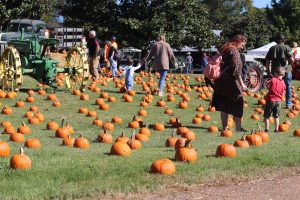 The Mississippi Agriculture and Forestry Museum invites the public to attend their annual Pumpkin Adventure event, to be held October 11-14, 18-21 and 25-28. 