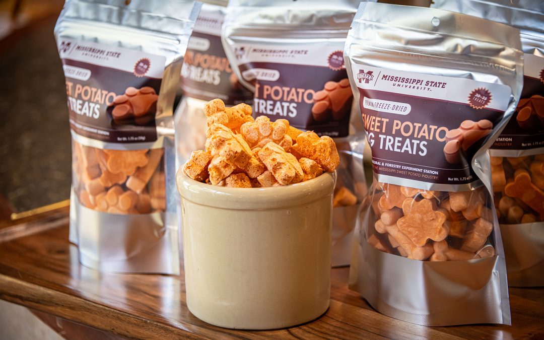 MSU scientists develop sweet potato treats for four-legged friends