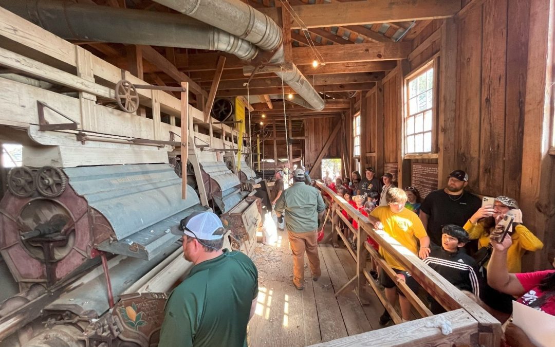 Students experience the cotton ginning process inside the oldest operating cotton gin in America during the annual Harvest Festival in Jackson. The Mississippi Agriculture and Forestry Museum will host the 2023 Harvest Fest November 7-11, from 9:00 a.m. to 2:00 p.m.