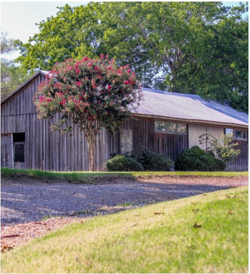 ICYMI: Good Morning America Exclusive: Acclaimed TV Producer and Screenwriter, Shonda Rhimes Donates to Emmett Till Interpretive Center to Secure Barn Where Emmett Till Was Murdered