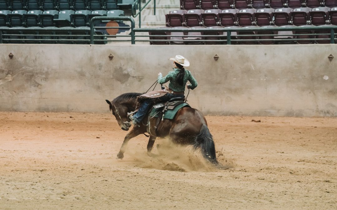 2024 Dixie National Livestock Shows Kick Off with First Equine Event