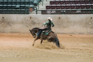 Dixie National Livestock Shows Kick Off with First Equine Event 8:00 a.m. Friday, January 5 through Sunday, January 7 at the Mississippi Fairgrounds.