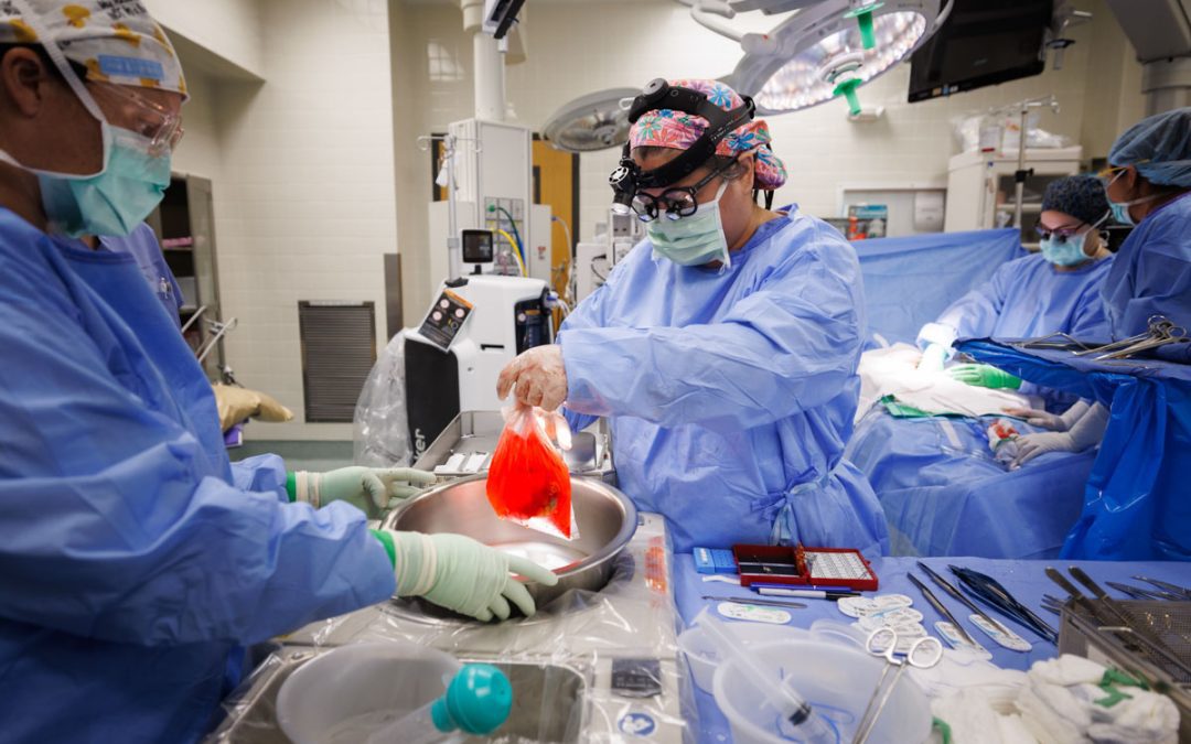 UMMC Celebrates Historic Seven-Way Kidney Swap