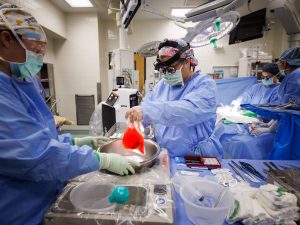 UMMC Celebrates Historic Seven-Way Kidney Swap