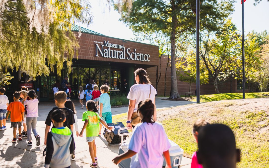 Natural Science Museum Announces Spring Break Events