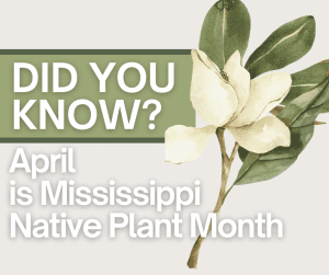 April is designated as Mississippi Native Plant Month coinciding with National Native Plant Month. Throughout the month, MDAC will be sharing educational information through our promotional channels to inform and encourage the public to utilize native plants. 