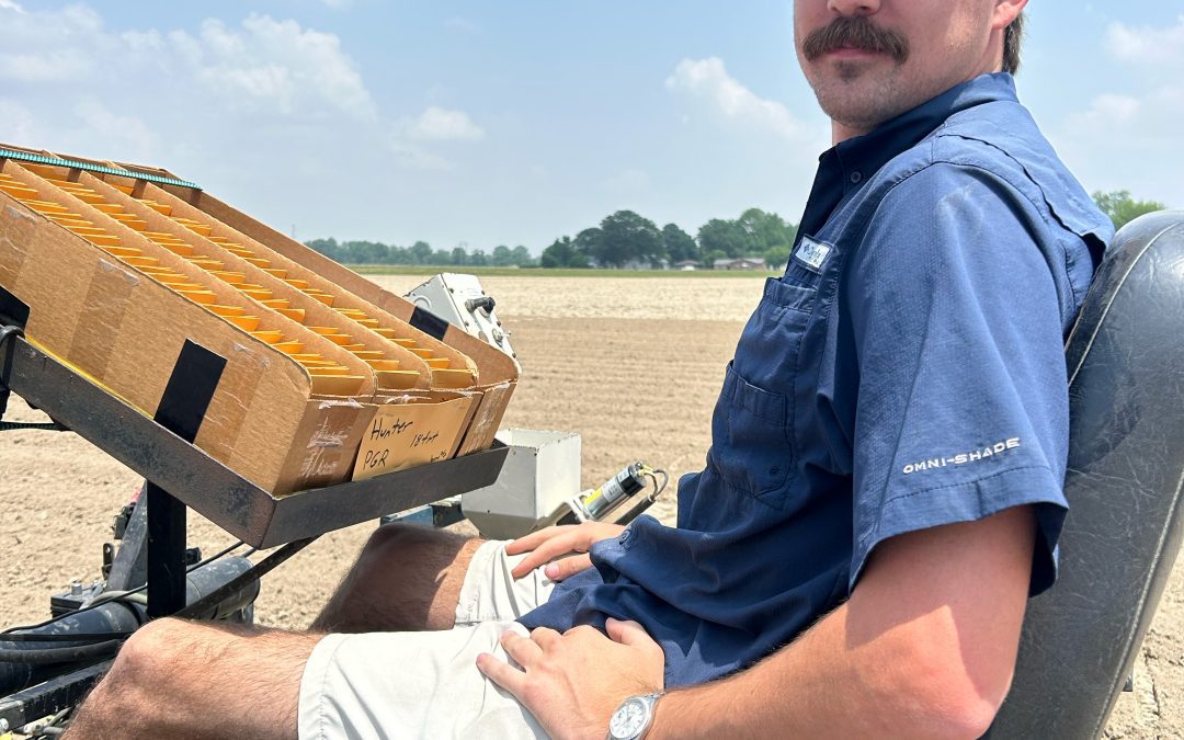 MSU graduate student studies effects of potential insecticide loss