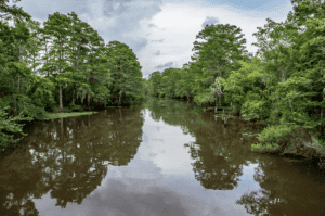 What has been termed “a gumbo of cultures, people, and traditions,” the Coast represents a fascinating account of 10,000 years of diverse people groups.