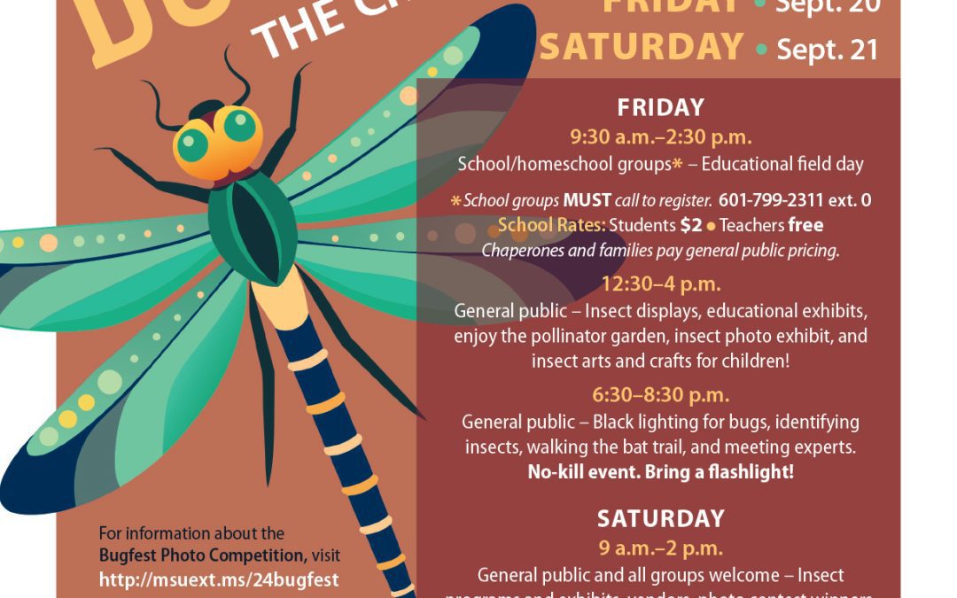 Bugfest 2024 offers hands-on learning