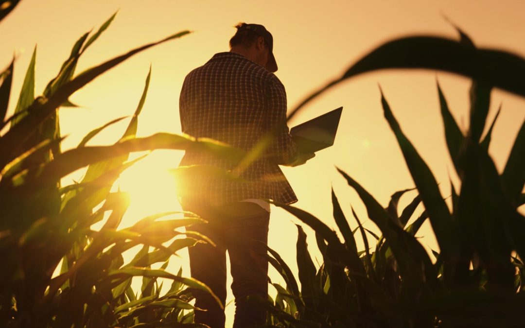 Mississippi is investing in the future of agriculture with AI