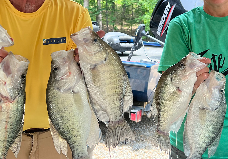 Mississippi offers outstanding options for autumn crappie anglers