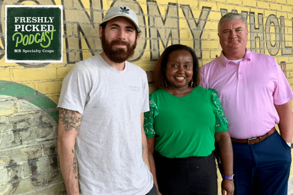 The latest episode of MDAC's Freshly Picked podcast, titled "Pumpkin to Talk About: Savoring Mississippi's Sweetest Fall Harvests," airs today at 9:30 a.m. Pictured L-R: Guillermo Salinas of Food Network's "Halloween Baking Championship" and owner of Just Vanilla Bake Shop; Natasha Haynes, Family and Consumer Sciences Extension Agent with MSU; and Claude Nash, podcast host and editor of MDAC's Mississippi Market Bulletin.