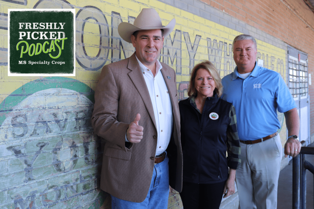 The latest episode of MDAC’s Freshly Picked podcast, titled “Cultivating Conversations: Specialty Crops and Sustainability with Commissioner Andy Gipson,” airs today at 9:30 a.m. Pictured L-R: Andy Gipson, Commissioner of Agriculture and Commerce; Leigh Bailey, owner of Salad Days Produce in Flora; and Claude Nash, podcast host and editor of the Mississippi Market Bulletin.