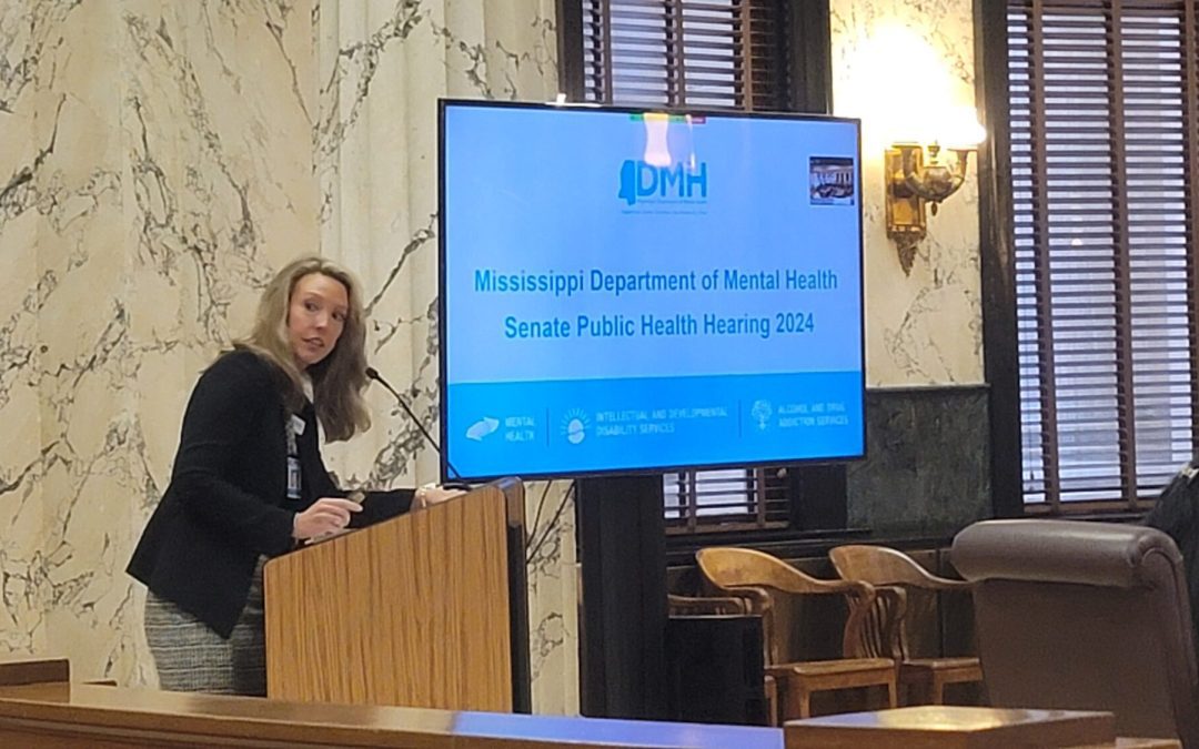 Senate Study Group examines mental health care of women, children