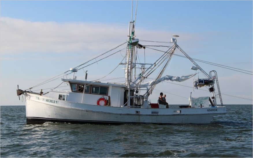 Catching a glimpse of the Mississippi seafood industry