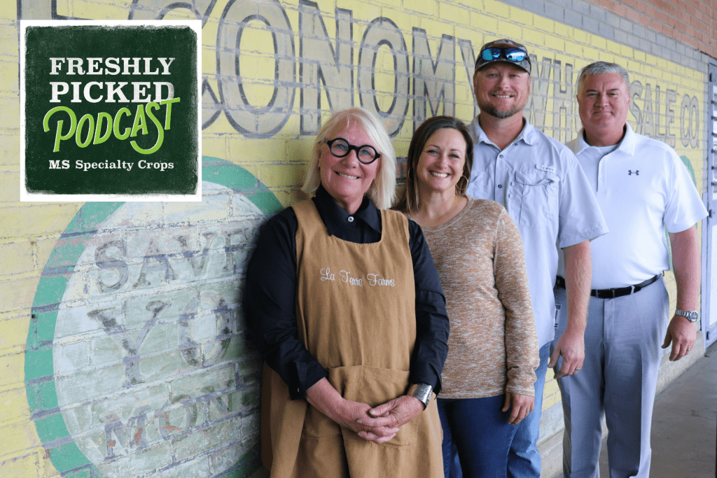 The latest episode of MDAC’s Freshly Picked podcast, titled “Faith, Trust and a Little Bit of Snow Dust: How to Make Your Christmas Tree Go the Extra Mile,” airs today at 9:30 a.m. Pictured L-R: Teri Wyly, owner La Terre Farms in Kiln; Brittany and Aaron Anderson, owners of Talson Farms in Laurel; and Claude Nash, podcast host and editor of the Mississippi Market Bulletin.