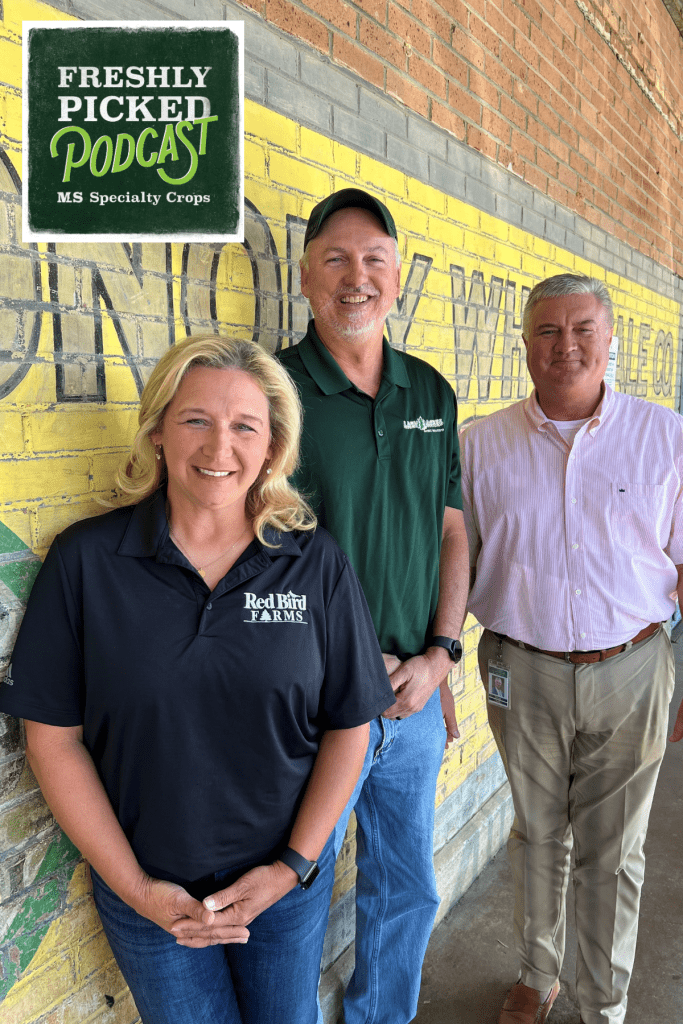 The latest episode of MDAC's Freshly Picked podcast, titled "A Christmas Tree for Thee: The Stories and Traditions of the Mississippi Farmer," airs today at 9:30 a.m. Pictured L-R: Wendy Ellis, owner of Red Bird Farms in Kosciusko; Michael May, owner of Lazy Acres Farm in Chunky; and Claude Nash, podcast host and editor of the Mississippi Market Bulletin.