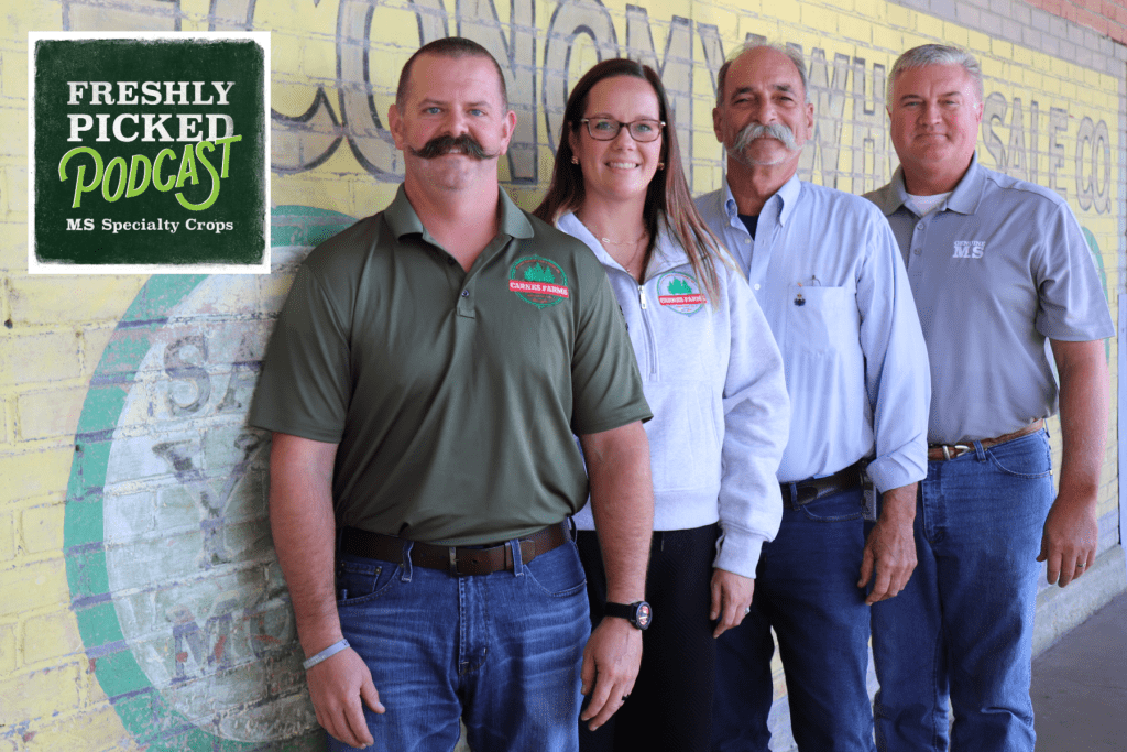 The latest episode of MDAC’s Freshly Picked podcast, titled “We're Just Missing the Presents: How to Maintain Your Christmas Tree” airs today at 9:30 a.m. Pictured L-R: Adam and Ali Carnes, owners of Carnes Farms; Mike Buchart, president of the Southern Christmas Tree Association; and Claude Nash, podcast host and editor of MDAC’s Mississippi Market Bulletin.
