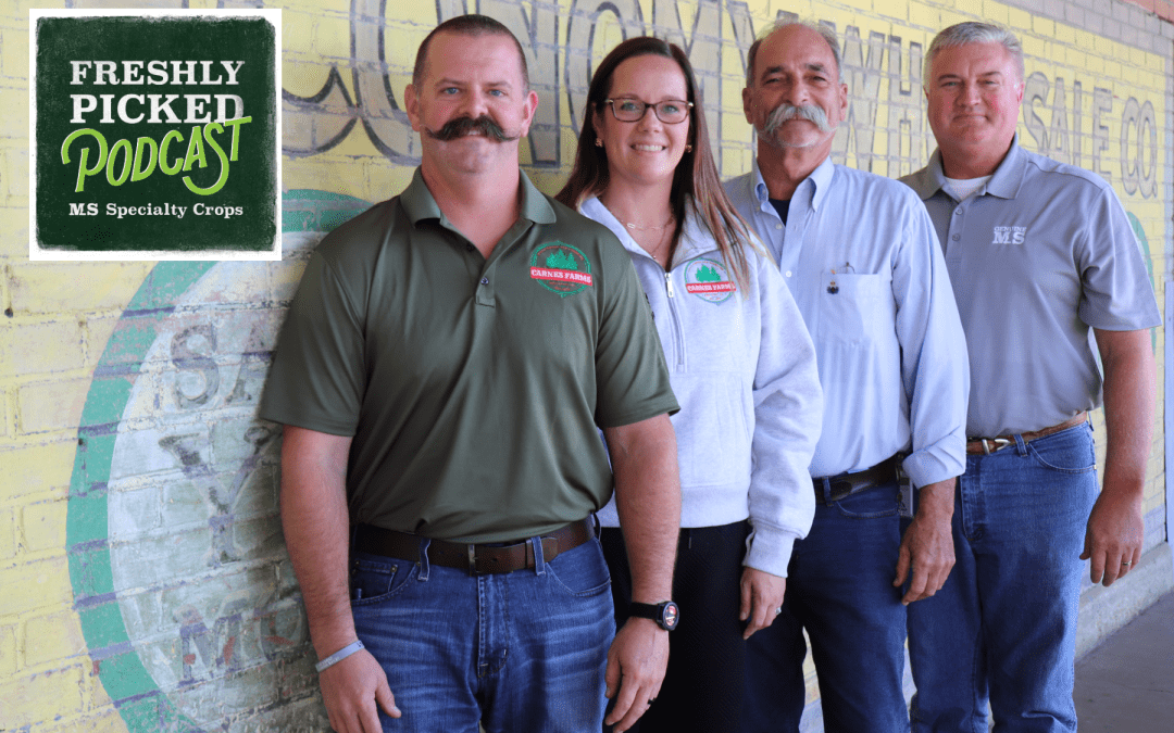 MDAC Hosts Holiday-Themed Freshly Picked Podcast Featuring Christmas Tree Specialists