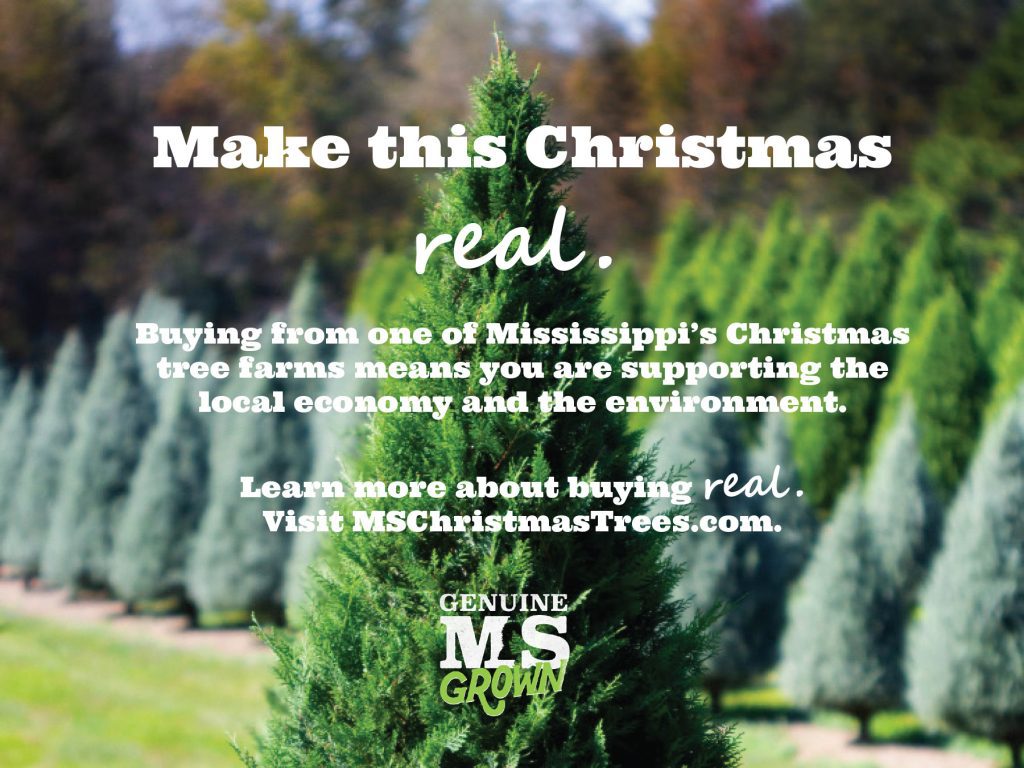 Make this year a “Genuine Mississippi” Christmas by purchasing a Mississippi grown tree!