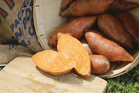 Let’s Eat, Mississippi: Vardaman sweet potatoes are more than a Mississippi “thing”