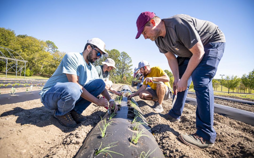 A Fresh Perspective: Student-led farm cultivates learning, builds community