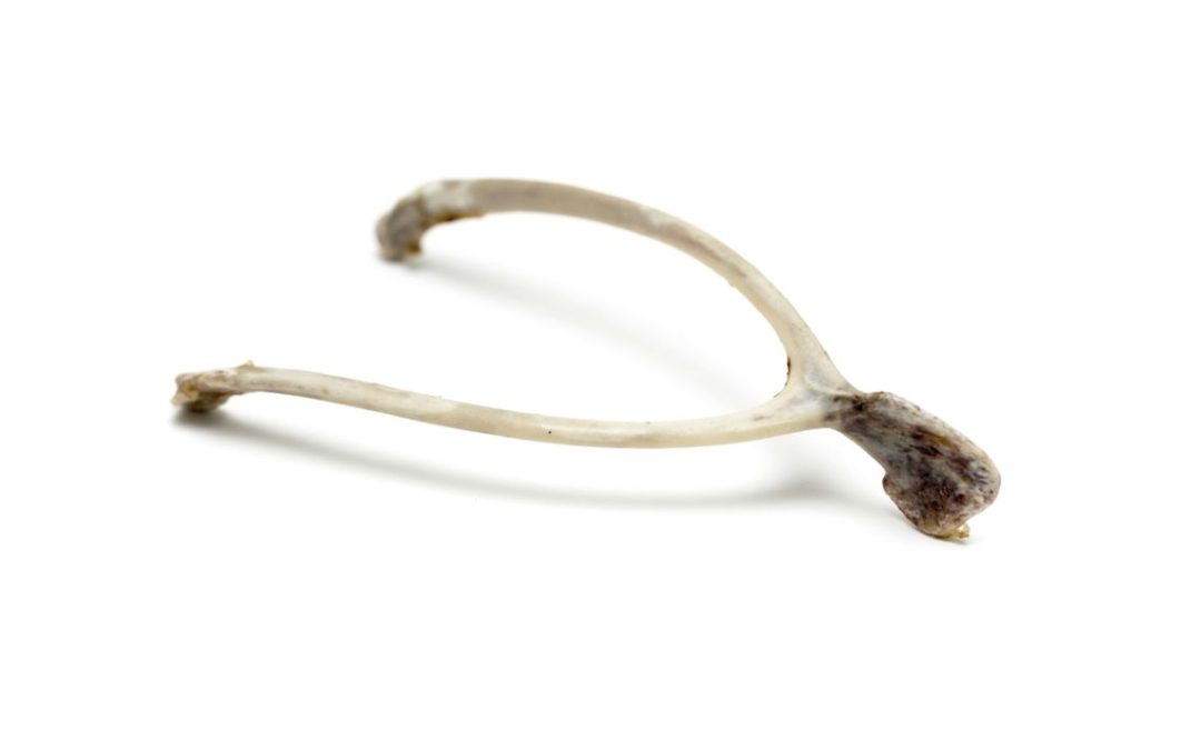 CoffeeTime: “The Middle of the Wishbone”