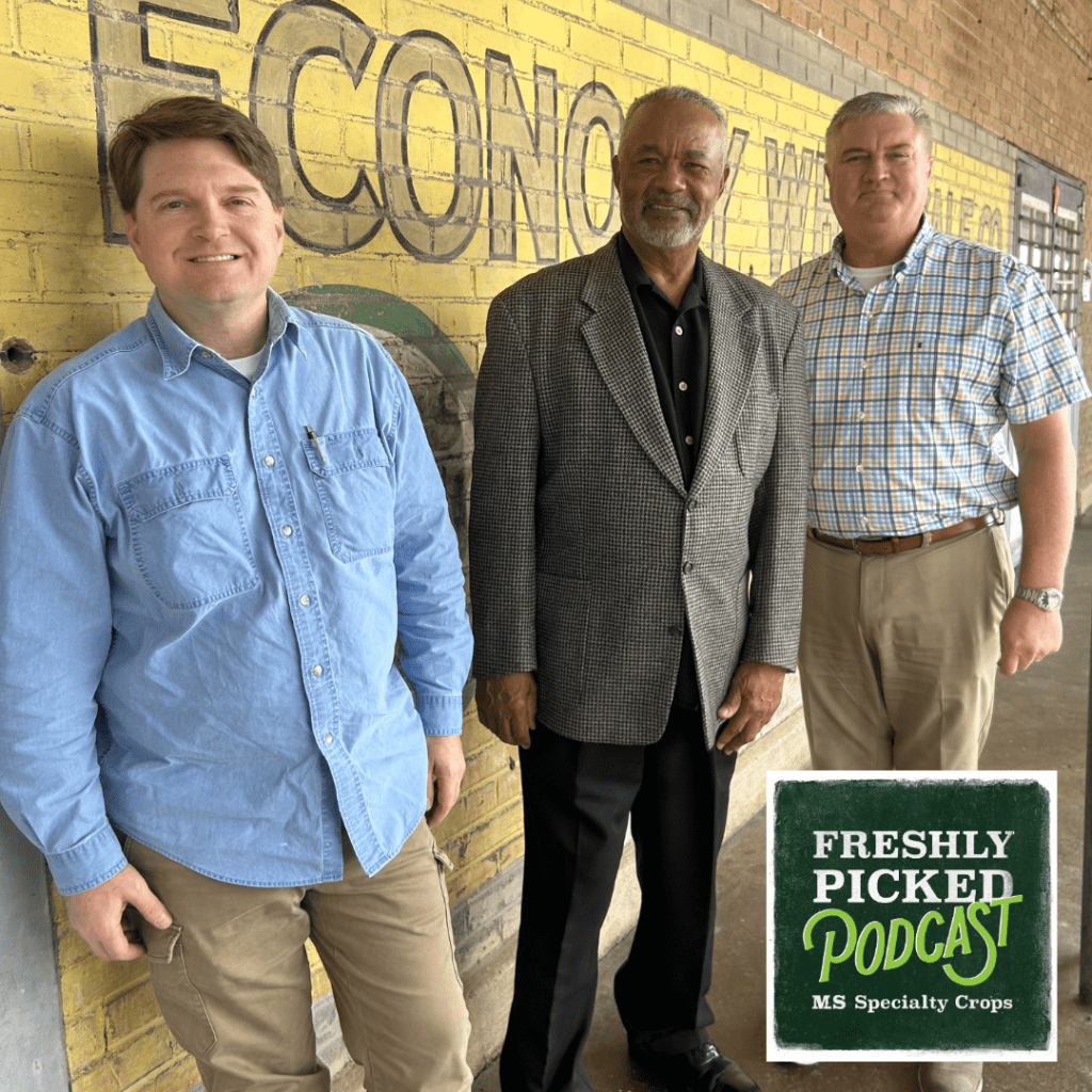 The latest episode of MDAC’s Freshly Picked podcast, titled “Nuts About Pecans: Celebrating Mississippi’s Legacy,” airs today at 9:30 a.m. Pictured L-R: Bill Duke, vice president of Duke Pecan Company in West Point; Art Sanders, owner of Lindy’s Pecans in West Point; and Claude Nash, podcast host and editor of MDAC’s Mississippi Market Bulletin.