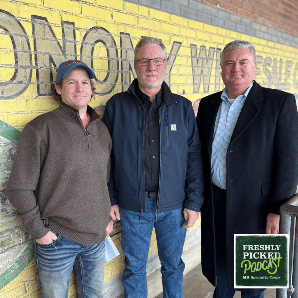The latest episode of MDAC’s Freshly Picked podcast, titled “The Buzz on Beekeeping: Mississippi’s Sweetest Crop,” airs today at 9:30 a.m. Pictured L-R: Kip Isonhood of Yazoo Honey and Bee Farm in Tinsley; Steven Coy of Coy Bee Company in Wiggins; and Claude Nash,podcast host and editor of MDAC’s Mississippi Market Bulletin.