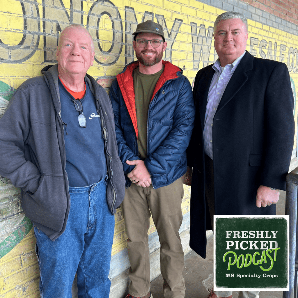 The latest episode of MDAC’s Freshly Picked podcast, titled “Rooted in Horticulture: Growing Mississippi’s Specialty Crops,” airs today. Pictured L-R: Larry Stephenson of Southern Cultured Orchards and Nursery in Tate County; Stephen Porter, general manager of Williamson Nursery in Pike County; and Claude Nash, podcast host and editor of MDAC’s Mississippi Market Bulletin.