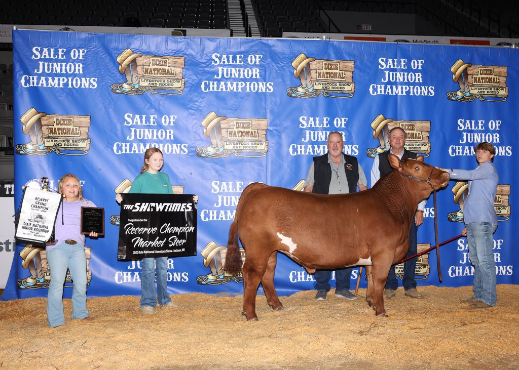 Reserve Grand Champion/Champ English Steer. Exhibited by Jimmy & Sadie Washburn, Hinds 4-H.