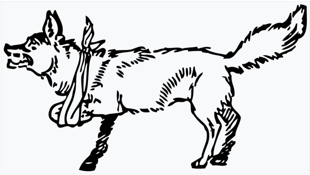 CoffeeTime: “Hobbled Milk Cows and  Tethered Horses”