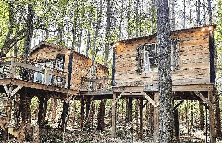 Fern Hollow Tree House: The whimsical Tishomingo Air BNB