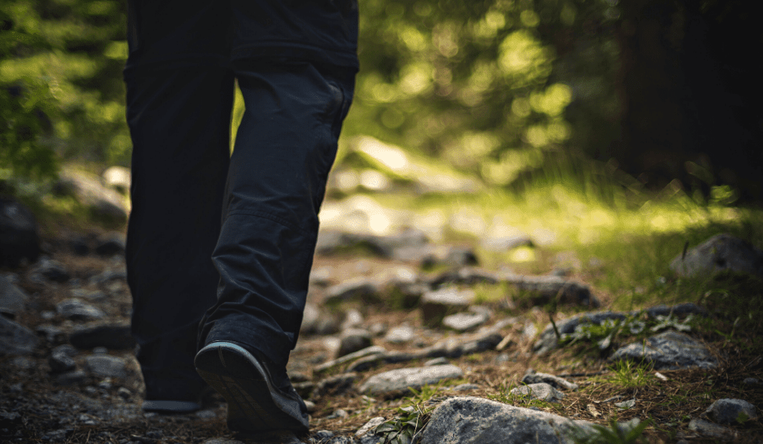 $13.4 million in conservation, outdoor recreation improvement grants awarded across Mississippi