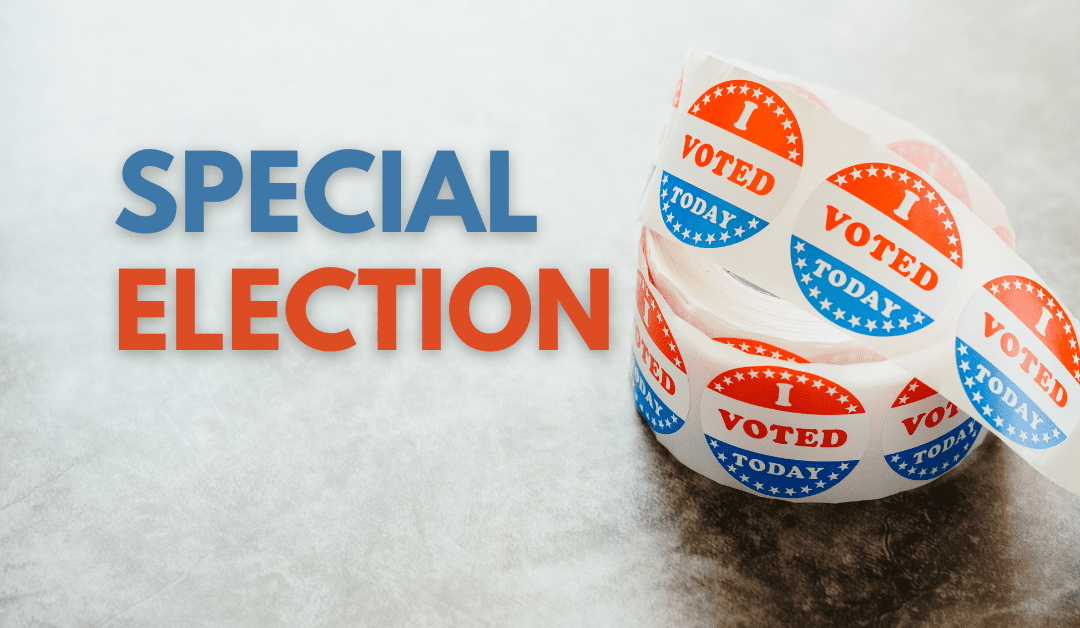 Voters in House Districts 23 and 82 will go to the polls in two weeks to elect a new state representative. See who is on the ballot.