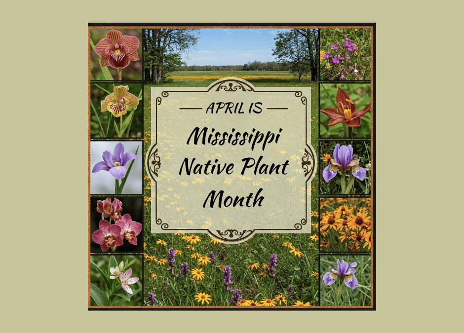 Mississippi Department of Agriculture and Commerce Commemorates Native Plant Month