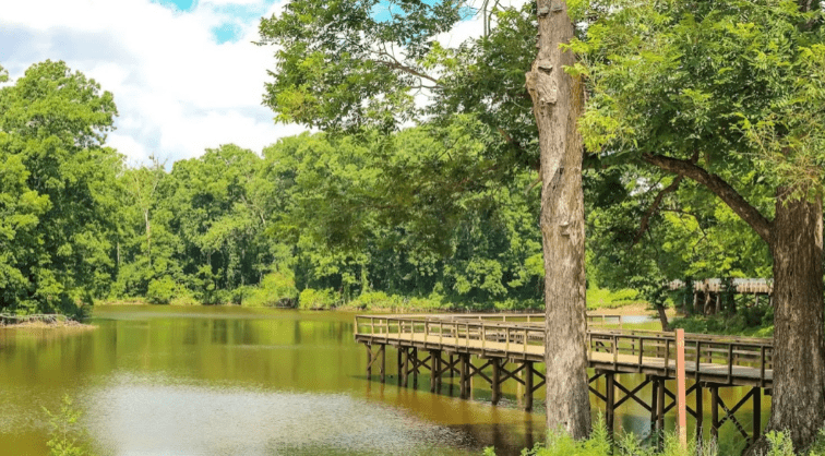 Mississippi’s state parks: Nature’s playground