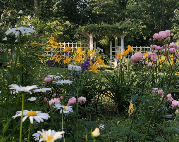 The Eudora Welty Garden: Where every flower tells a story