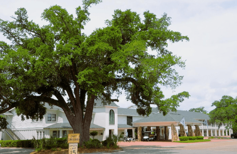 The timeless allure and bayou elegance of Gulf Hills Hotel and Resort